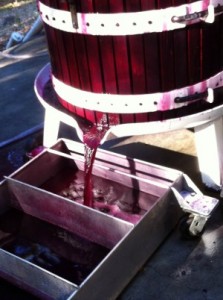Pressing Pinot