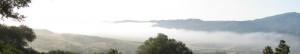 Santa Cruz Mountains fog