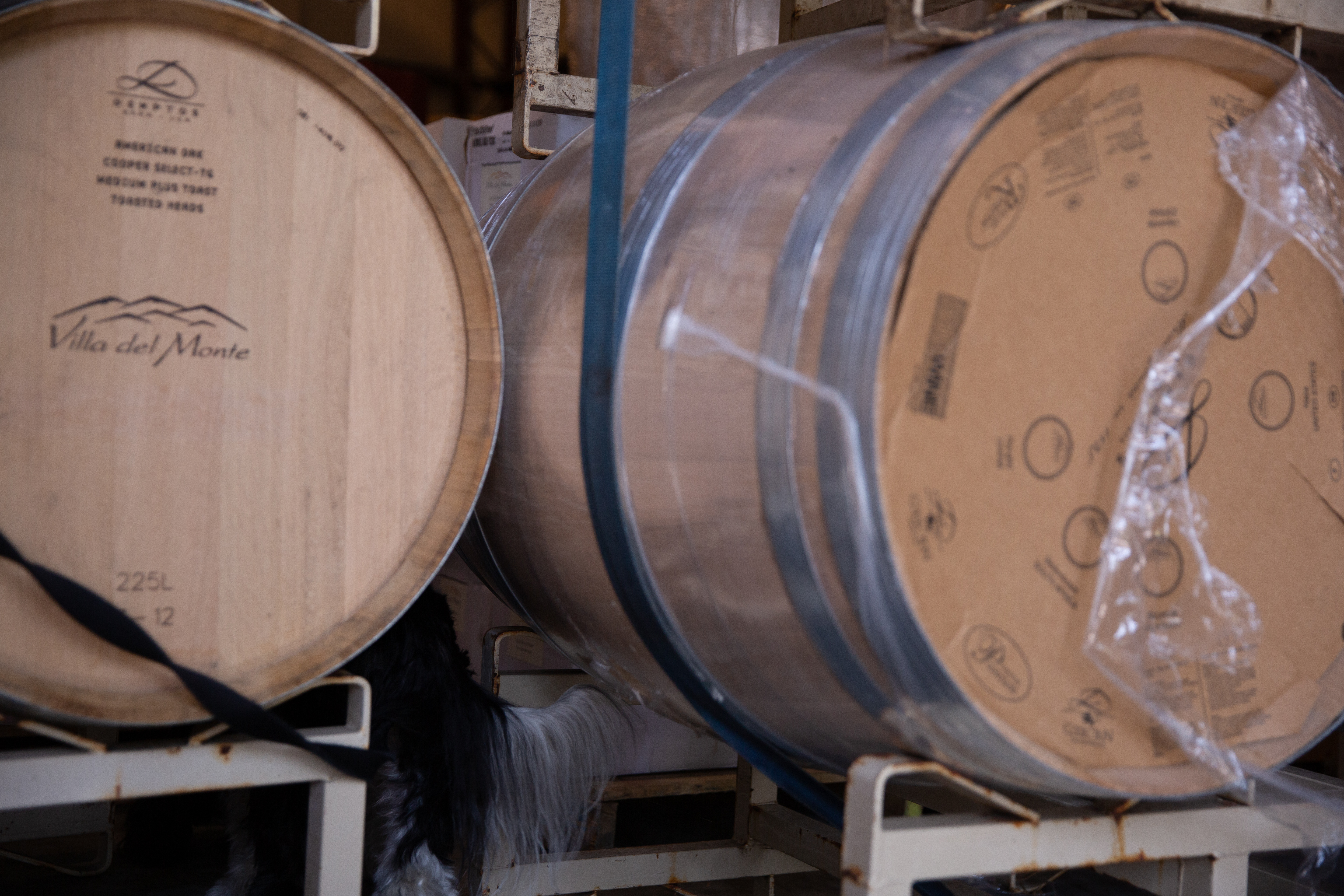 New wine barrels at Villa del Monte Winery